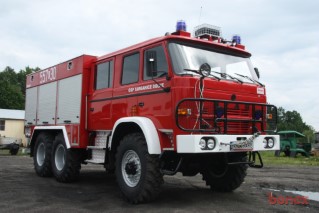 Bonex
