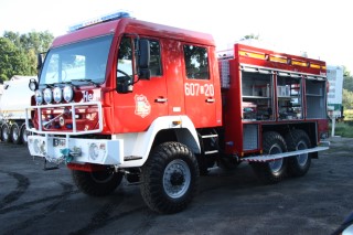 Bonex