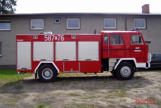 Bonex