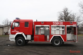 Bonex
