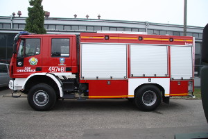 Bonex